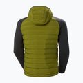Férfi vitorlás dzseki Helly Hansen Arctic Ocean Hybrid Insulator olívazöld 7