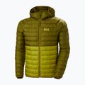 Férfi Helly Hansen Banff Hooded Insulator pehelypaplan dzseki világos moha 11