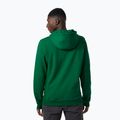 Férfi trekking pulóver Helly Hansen F2F Organic Cotton Hoodie malachite malachite 2