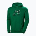 Férfi trekking pulóver Helly Hansen F2F Organic Cotton Hoodie malachite malachite 4