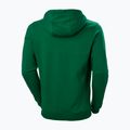 Férfi trekking pulóver Helly Hansen F2F Organic Cotton Hoodie malachite malachite 5