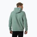 Férfi pulóver  Helly Hansen HH Logo Hoodie cactus 2