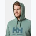 Férfi pulóver  Helly Hansen HH Logo Hoodie cactus 3