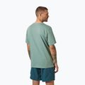 Férfi póló Helly Hansen HH Logo cactus 2