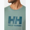Férfi póló Helly Hansen HH Logo cactus 3
