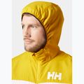 Férfi vitorlás kabát Helly Hansen Salt Striped Windbreaker gold rush 3