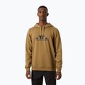 Férfi pulóver Helly Hansen Nord Graphic Pull Over Hoodie lynx