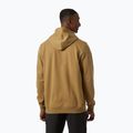 Férfi pulóver Helly Hansen Nord Graphic Pull Over Hoodie lynx 2