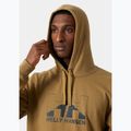 Férfi pulóver Helly Hansen Nord Graphic Pull Over Hoodie lynx 3