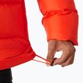 Férfi Helly Hansen Active Puffy pehelypaplan kabát cseresznye paradicsom 5