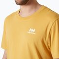 Férfi póló Helly Hansen Nord Graphic sand 3