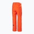 Férfi Helly Hansen Sogn Cargo sínadrág cseresznye paradicsom színben 2