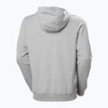 Férfi Helly Hansen HH Logo Full Zip Hoodie 2.0 szürke/ melange 6