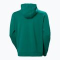 Férfi Helly Hansen HH Logo Hoodie 2.0 smaragdzöld 6