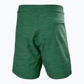 Férfi Helly Hansen Newport Boardshorts 8" dzsungel zöld 6