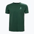 Férfi Helly Hansen Shoreline 3.0 dzsungel zöld póló 4