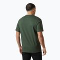 Férfi Helly Hansen Box T 2.0 dzsungel zöld póló 2