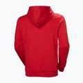 Férfi pulóver Helly Hansen HH Logo Hoodie red 6