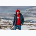 Férfi pulóver Helly Hansen HH Logo Hoodie red 7