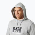 Férfi pulóver Helly Hansen HH Logo Hoodie grey/melange 3