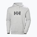 Férfi pulóver Helly Hansen HH Logo Hoodie grey/melange 5