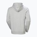 Férfi pulóver Helly Hansen HH Logo Hoodie grey/melange 6