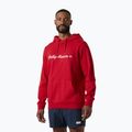 Férfi pulóver Helly Hansen Core Graphic Hoodie red