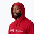 Férfi pulóver Helly Hansen Core Graphic Hoodie red 3