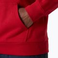 Férfi pulóver Helly Hansen Core Graphic Hoodie red 4