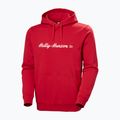 Férfi pulóver Helly Hansen Core Graphic Hoodie red 5