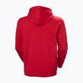Férfi pulóver Helly Hansen Core Graphic Hoodie red 6