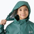 Gyerek vitorlás dzseki Helly Hansen Moss opal green 3
