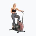 Schwinn Airdyne Ad2I légibicikli 100430 2