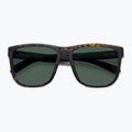 Polaroid PLD 2155/S matt barna havanna/zöld polarizált férfi napszemüveg 4
