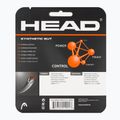Teniszütő húr HEAD Synthetic Gut 12 m white 2