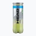 HEAD Padel Pro+ padel labdák 3 db. sárga 2