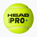 HEAD Padel Pro+ padel labdák 3 db. sárga 3