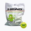 HEAD Tip Green 72 gyermek teniszlabda zöld 578280