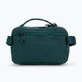 Fjällräven Kanken vesetáska zöld F23796 6