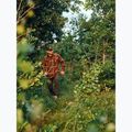 Férfi ing Pinewood Cornwall d.green/d.copper 7