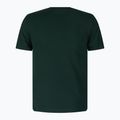 Férfi trekking póló Peak Performance Original Tee zöld G77692260 2