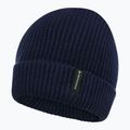 Gyerek téli sapka Didriksons Buz Beanie navy