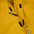 Férfi snowboard kabát Colourwear Signature Anorak yellow 4