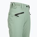 Női snowboard nadrág Colourwear Cork lt sage 4