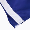 Férfi boxnadrág Cleto Reyes Satin Boxing blue/white 4