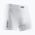 Férfi thermo boxeralsó X-Bionic Invent 4.0 Lt arctic white/opal black