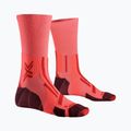 Férfi zokni X-Socks Trailrun Perform Crew fluo red/namib red