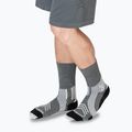 Zokni X-Socks Run Expert Silk Merino Crew seal grey/light sand 6