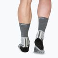 Zokni X-Socks Run Expert Silk Merino Crew seal grey/light sand 7
