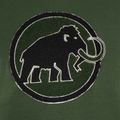 Férfi Mammut ML Hoody Circle trekking pulóver zöld 6